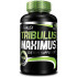 Повышение тестостерона BioTech Tribulus Maximus (90 tabs) Повышение тестостерона BioTech Tribulus Maximus (90 tabs)