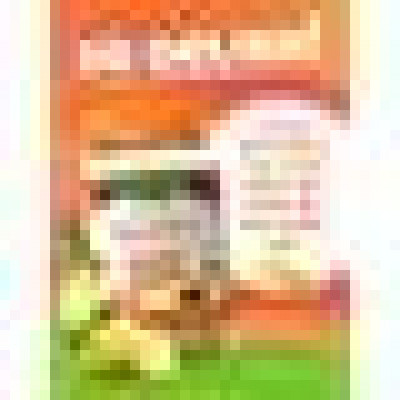 Вітаміни і мінерали Kids Vitamin C + Zinc Echinacea Gummies (60 Vegetarian Gummies) Вітаміни і мінерали Kids Vitamin C + Zinc Echinacea Gummies (60 Vegetarian Gummies)