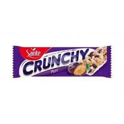 Протеиновый батончик Go On Crunchy Bar Plum (40g) Протеиновый батончик Go On Crunchy Bar Plum (40g)