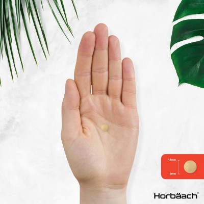 Horbaach Vitamin B Complex (180 tabs) Horbaach Vitamin B Complex (180 tabs)