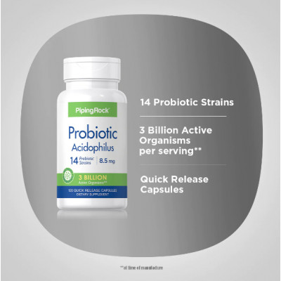 Витамины и Минералы Piping Rock Probiotic Acidophilus (120 caps) Витамины и Минералы Piping Rock Probiotic Acidophilus (120 caps)